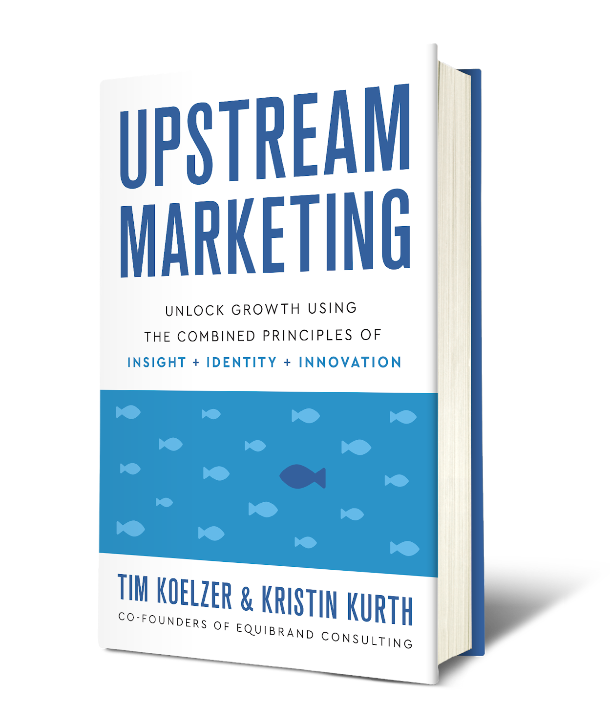 Upstream Marketing EquiBrand's Book