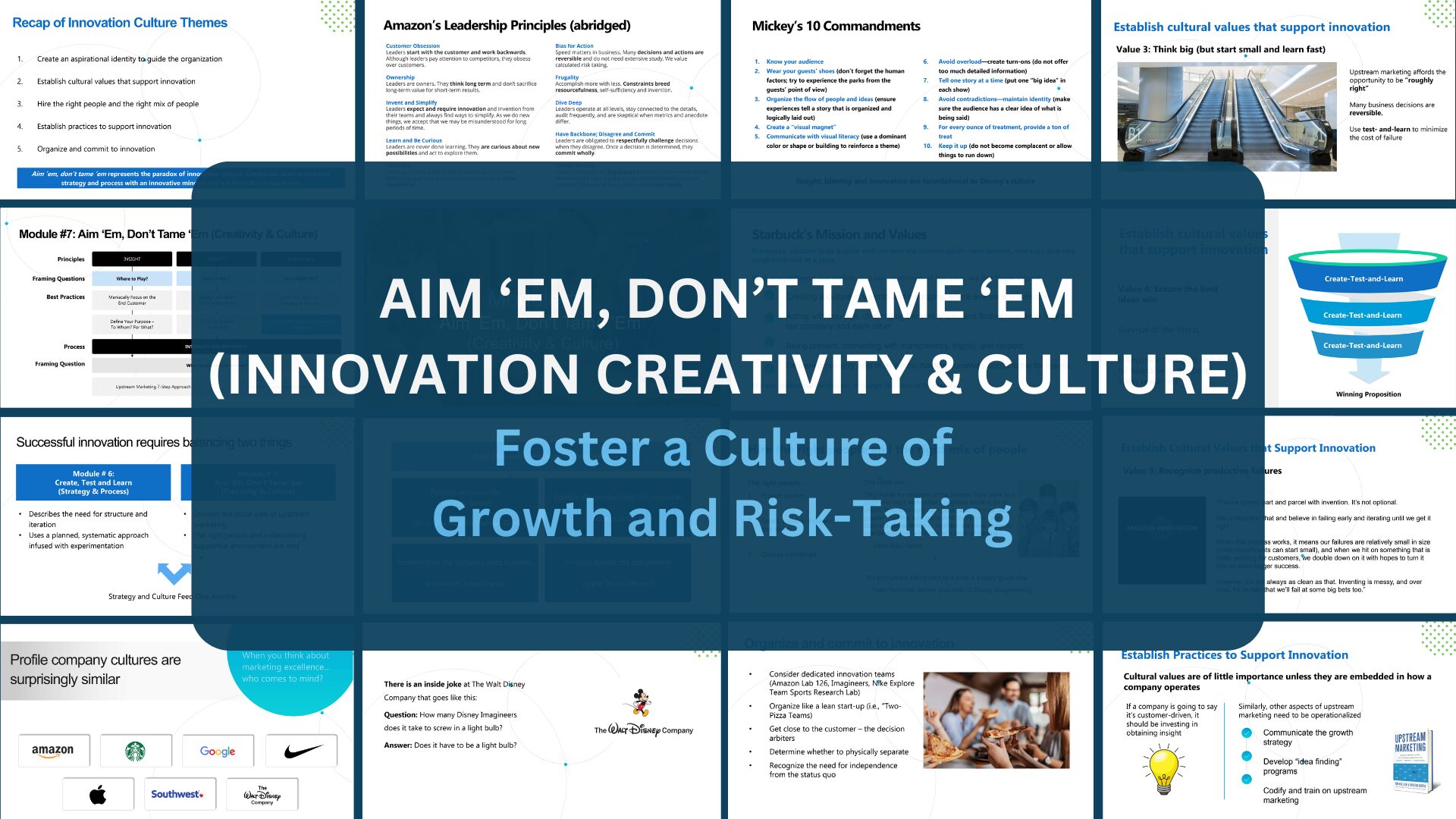 MODULE 7 Aim ‘Em, Don’t Tame ‘Em (Creativity & Culture)